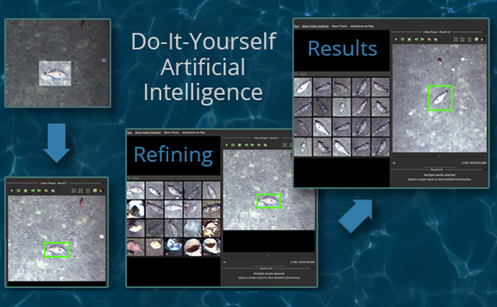 Do-it-yourself artificial intelligence. 4 screenshots of a video with a fish on it with computer program identifying the fish