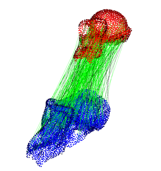 Ape skull registration